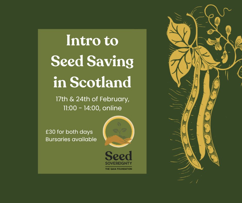 Our Intro to Seed Saving in Scotland training is starting THIS SATURDAY!

Still a few spaces available; if you're a commercial or community grower in Scotland wanting to begin your seed journey, this is your chance. 

Sign up now!
buytickets.at/thegaiafoundat…