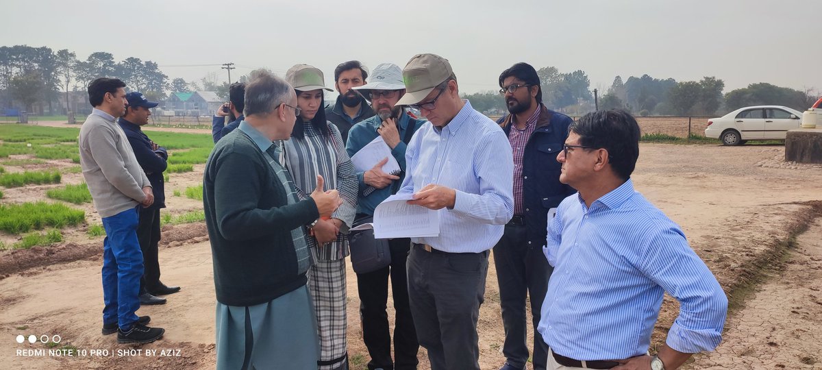 Abdulaziz59's tweet photo. Thrilled to host the Global Wheat Director/CIMMYT and his team  at CIMMYT/Pakistan office ISB 🌾 Engaging in insightful discussions with our brilliant wheat scientists. Together, we're sowing the seeds of innovation for a sustainable future. #WheatScience #CollaborationInAction" https://t.co/hhirtXvNck