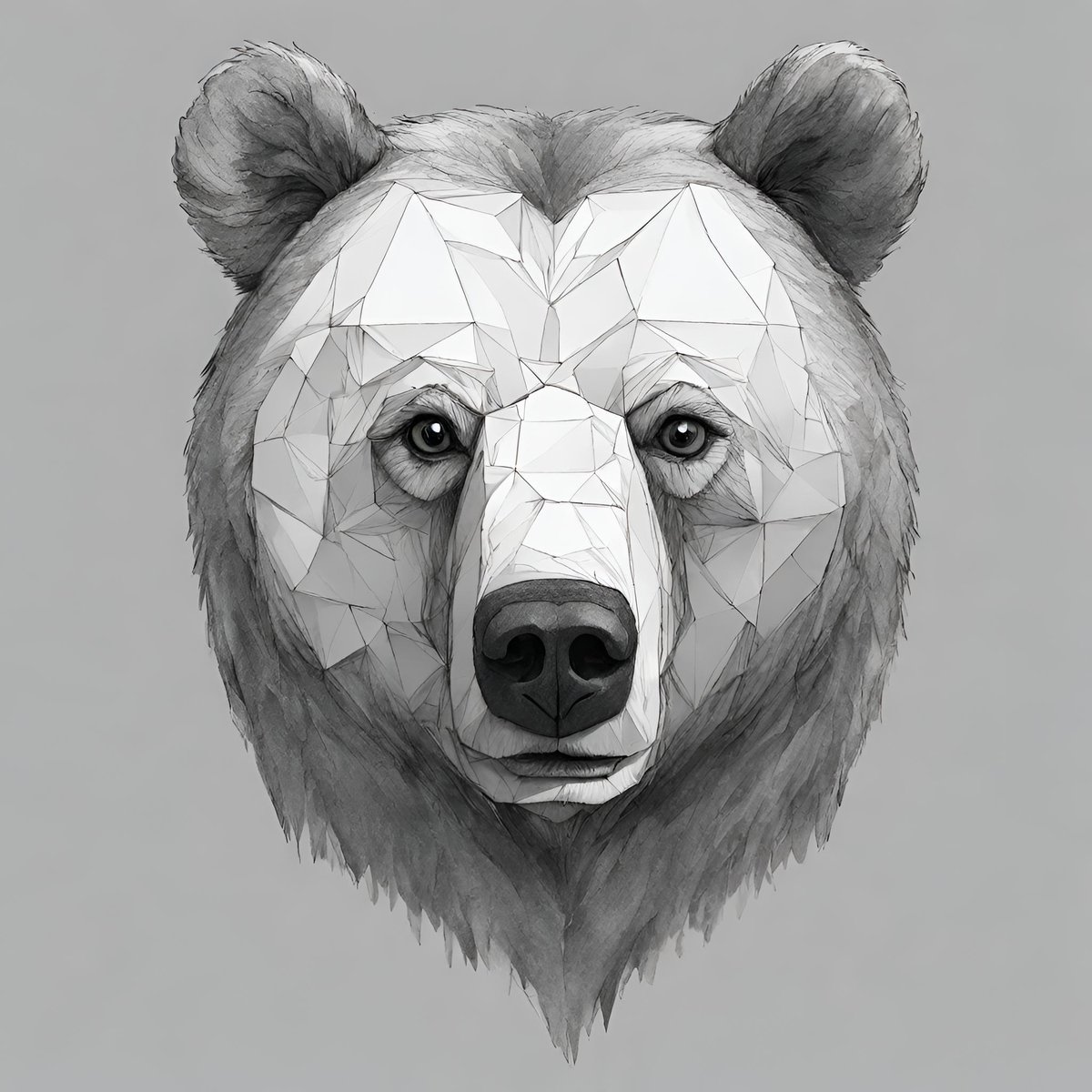 Bear Nexia tweet media
