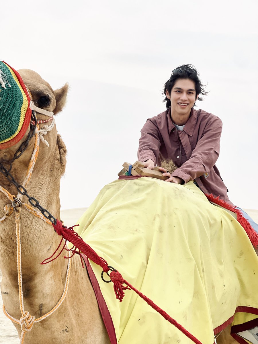 allbright_ofc's tweet photo. Free Day in Qatar 🐪
 
#bbrightvc https://t.co/haFs8WqQHk