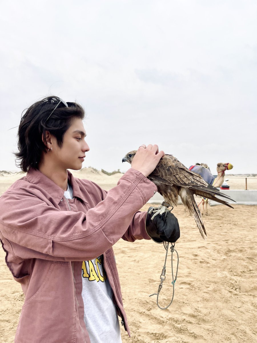 allbright_ofc's tweet photo. Free Day in Qatar 🐪
 
#bbrightvc https://t.co/haFs8WqQHk