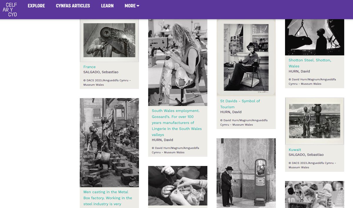 Prospectacnmw tweet media