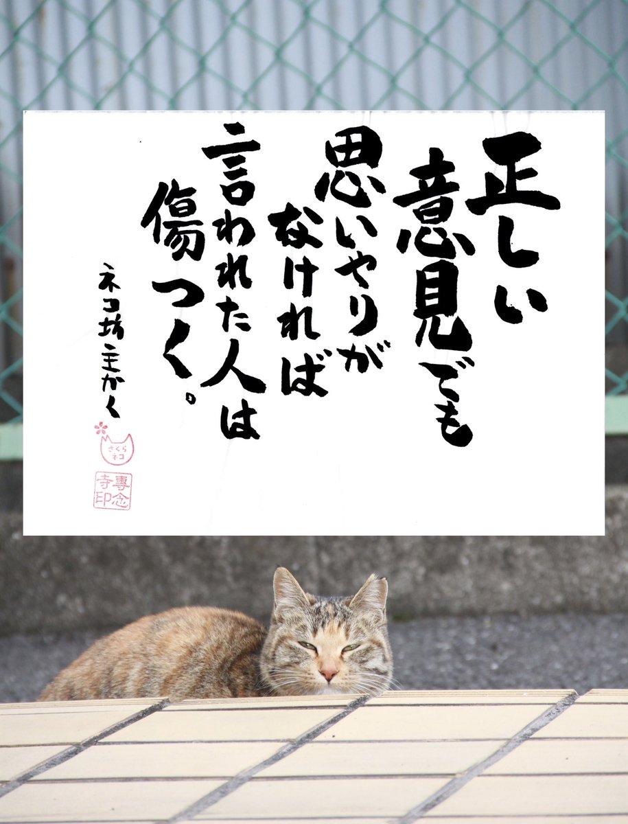 yabumoto610's tweet photo. ネコさんから人間さんへ今日の一言 https://t.co/lTMgKsqSkR