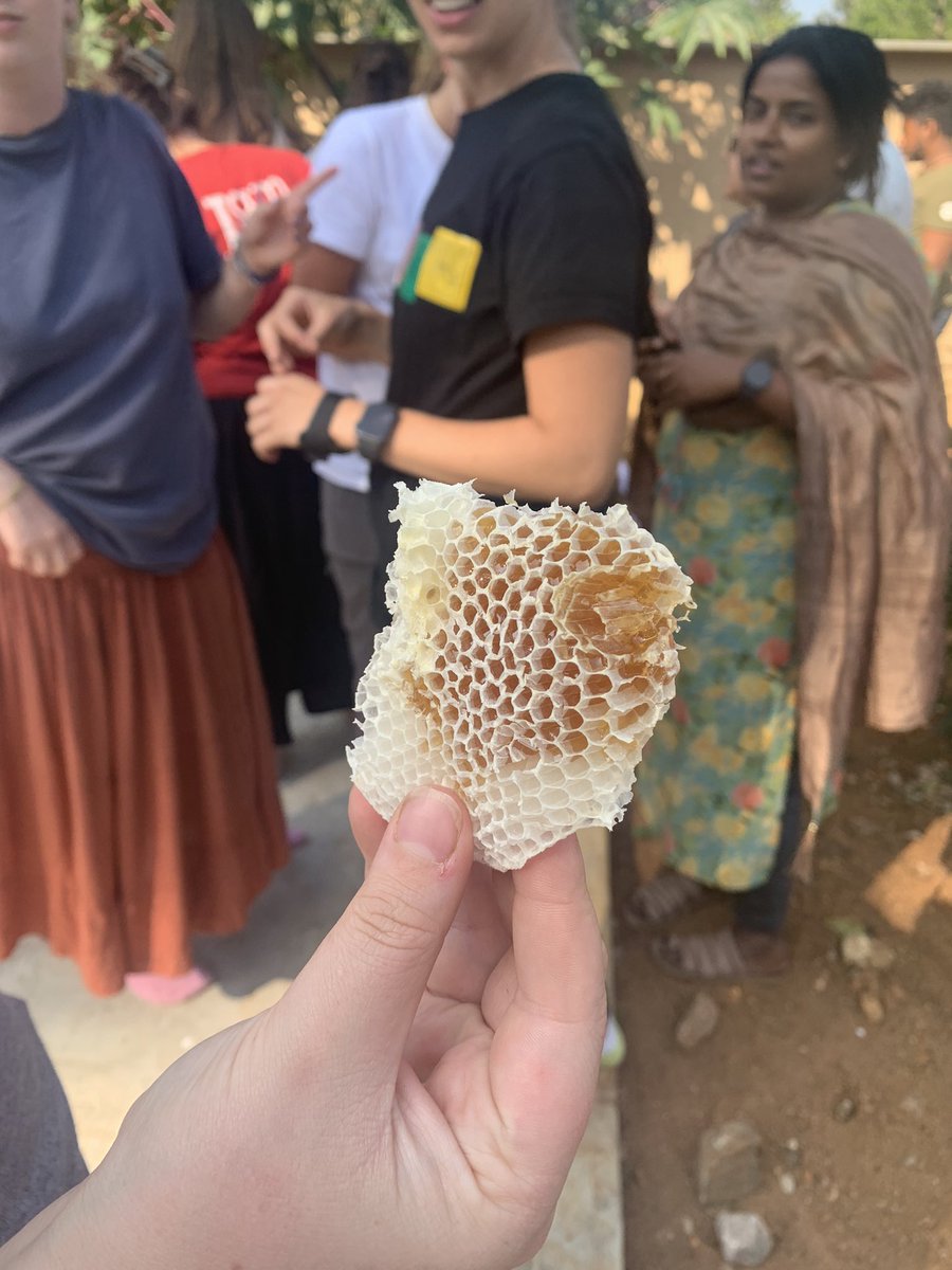 Part 4: Forest rights ‘allows’ the Soliga ppl to produce & sell non-forest Timber Products (NTFP). We visited a processing unit that produces honey, coffee, turmeric, pepper & other forest products. I’ve bought some to share with/ the school!