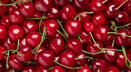 Antimicrobial pads can really help with shelf-life for exported cherries, which often travel long distances at sea... #cherries #export #fruitexport #absorbency #antimicrobial #foodpackaging #shelflife
sirane.com/en/news/absorb…