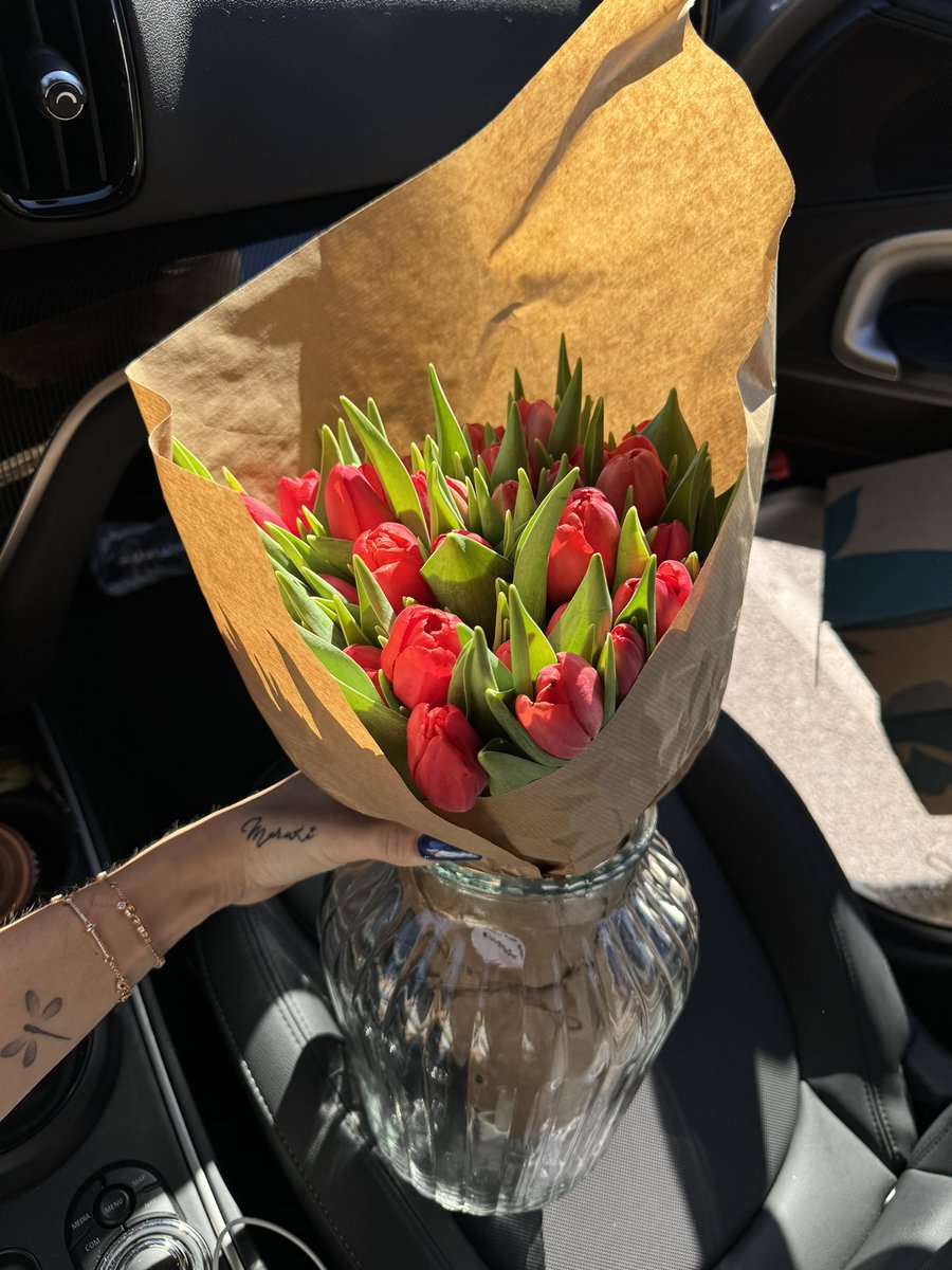 Sofia_surferss's tweet photo. Red tulips🌷 https://t.co/AZHwYhuHOC
