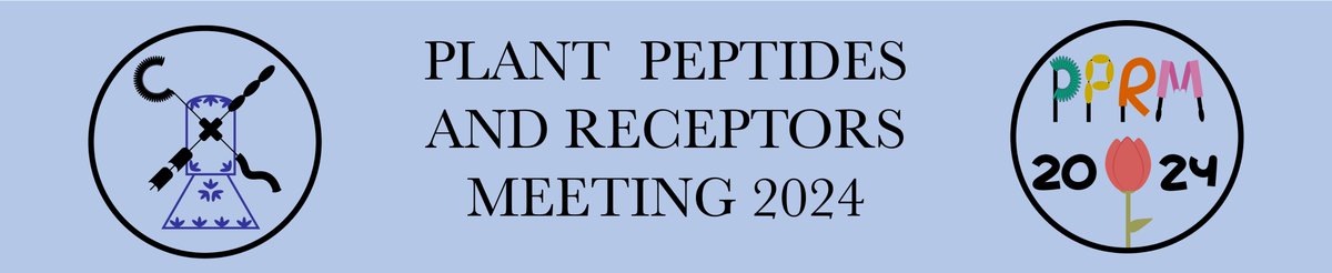 Elwira Smakowska (@elwirasmakowska) on Twitter photo 📢Registration for the 12th Plant Peptides and Receptors Meeting is open now! Please check out the webpage for more details: pprm2024.nl!
We cannot wait to see you in Wageningen! @dolfweijers <a href="/jennyrussinova/">jenny russinova.bsky. social</a> <a href="/GreenMechanobio/">green mechanobiology</a> @jasper_lamers <a href="/VivianneTwit/">VivianneVleeshouwers</a> <a href="/PeterGrones/">Peter GRONES</a> 📢Registration for the 12th Plant Peptides and Receptors Meeting is open now! Please check out the webpage for more details: pprm2024.nl!
We cannot wait to see you in Wageningen! @dolfweijers <a href="/jennyrussinova/">jenny russinova.bsky. social</a> <a href="/GreenMechanobio/">green mechanobiology</a> @jasper_lamers <a href="/VivianneTwit/">VivianneVleeshouwers</a> <a href="/PeterGrones/">Peter GRONES</a>