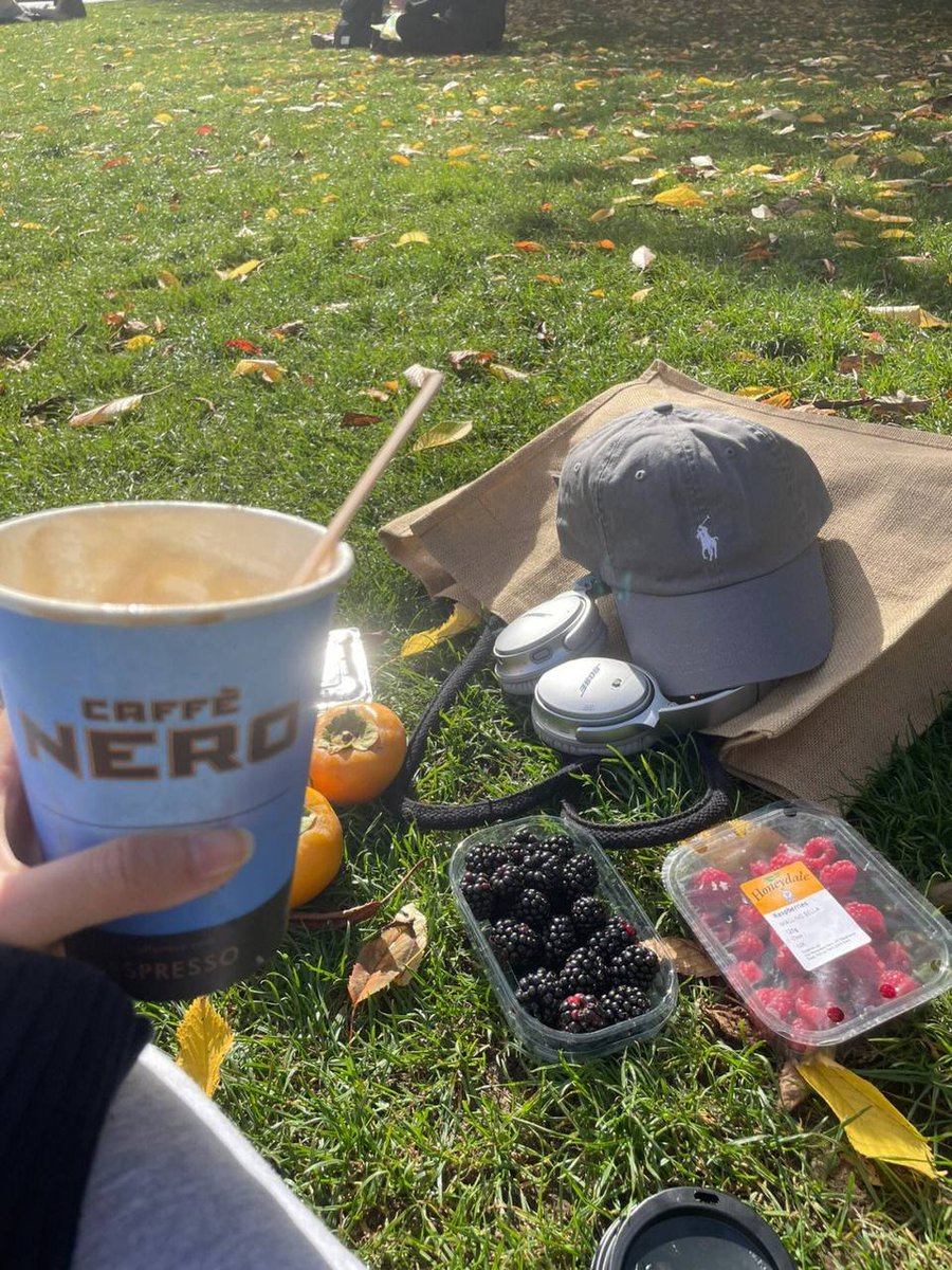 JimCapitals's tweet photo. The unique bright sun makes the mind more refreshing. https://t.co/gyzpZvQHRn