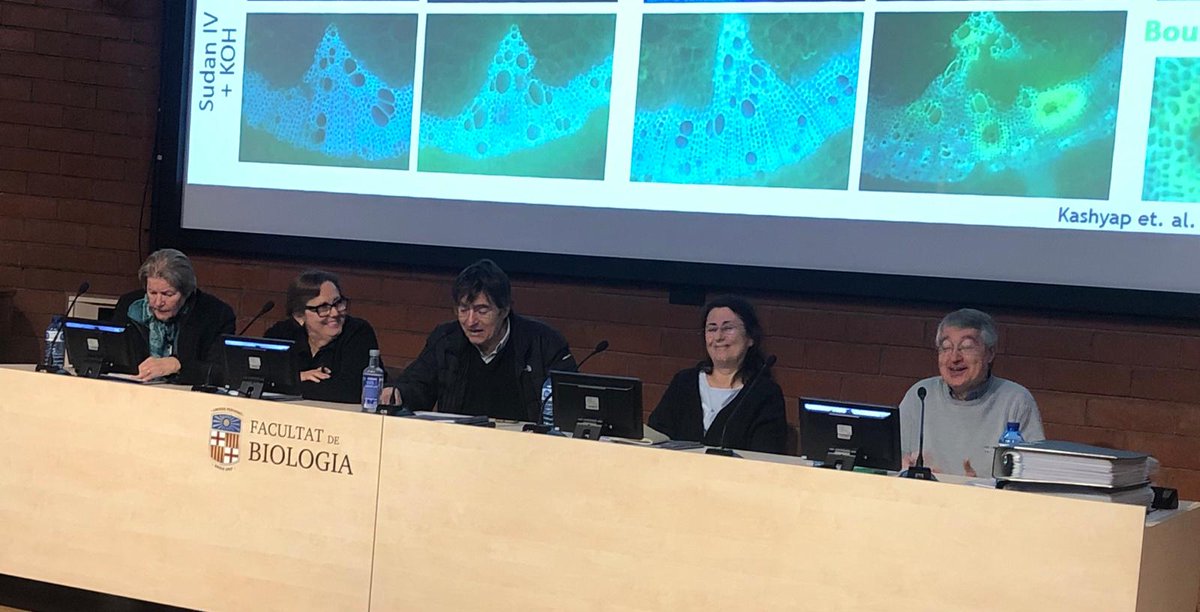 GeneticsUB (@geneticsub) on Twitter photo 🎉Felicitats als dos nous Catedràtics de la Secció de Genètica de la <a href="/BiologiaUB/">Facultat de Biologia UB</a>, Marc Valls i Ricard Albalat!
👥El tribunal del concurs va estar format per Emili Saló (president),Francesc Mestres (secretari) i les vocals Josefa Badia, Salomé Prat i Carlota Poschenrieder. 🎉Felicitats als dos nous Catedràtics de la Secció de Genètica de la <a href="/BiologiaUB/">Facultat de Biologia UB</a>, Marc Valls i Ricard Albalat!
👥El tribunal del concurs va estar format per Emili Saló (president),Francesc Mestres (secretari) i les vocals Josefa Badia, Salomé Prat i Carlota Poschenrieder.