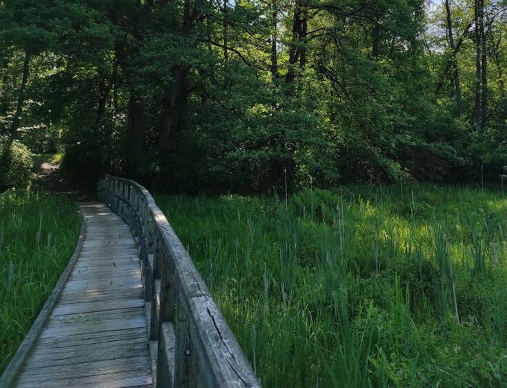 ‏آكيمي|あけみ ‏ (@7icix) on Twitter photo 