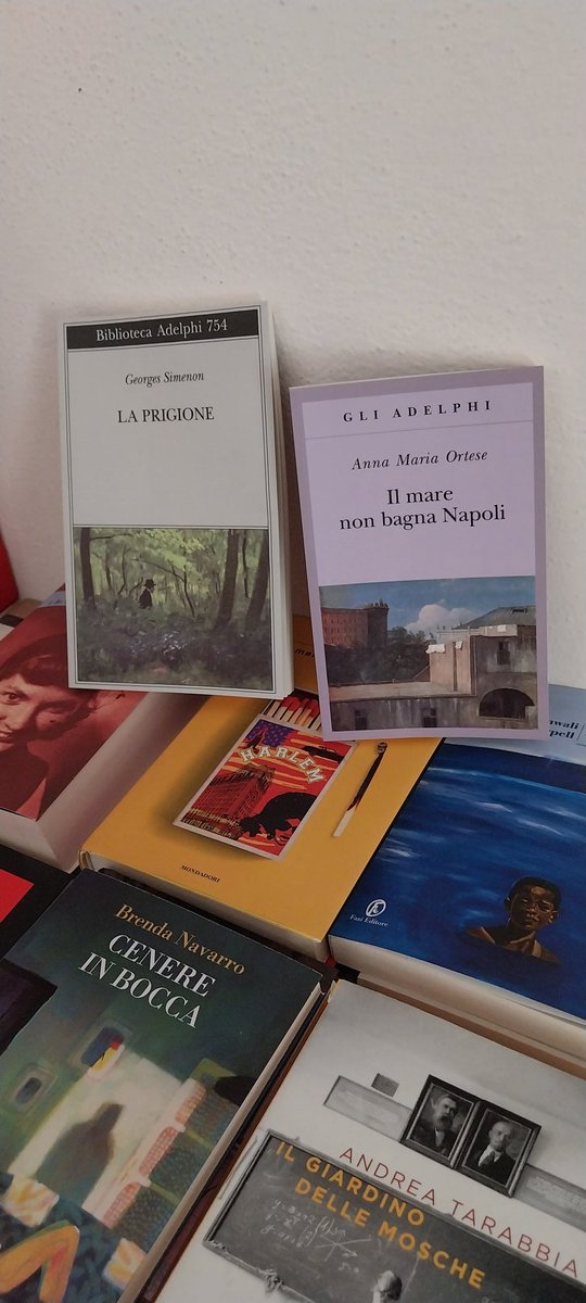 #GliAdelphi 
#LaPrigione
#GeorgesSimenon
#IlMareBagnaNapoli
L'immensa #AnnaMariaOrtese.
@adelphiedizioni 
Le.copertine sono bellissime.
@_EMANUELE_D @simone_volponi @alfredo_zivvo @Jamesblog4 @Ro_Berta_42 @ArturNuraj @MassimoCastag17 @LuciaLibri @CrocifissoDent2 @ra_buccia