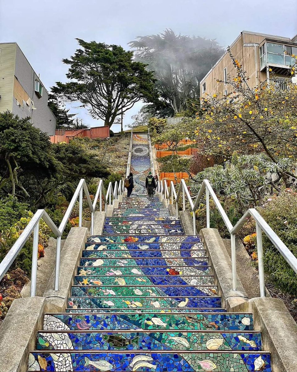 San Francisco 🇺🇲 
The Moraga Steps on 16th Avenue - a colorful climb. 

📸 @415urbanadventures 

#morangasteps #conexaoamerica #SanFrancisco #SanFranciscogram #USA #America #California #UnitedStates #city #citylife #Sanfran #SanFranciscoCity #onlyinsf #goldengatebridge #ilovesf