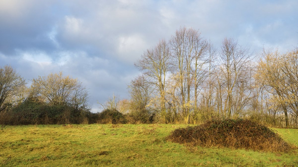 RyckmansNoel's tweet photo. #vrtweer #henis 9u15 https://t.co/pX1HGUceRq