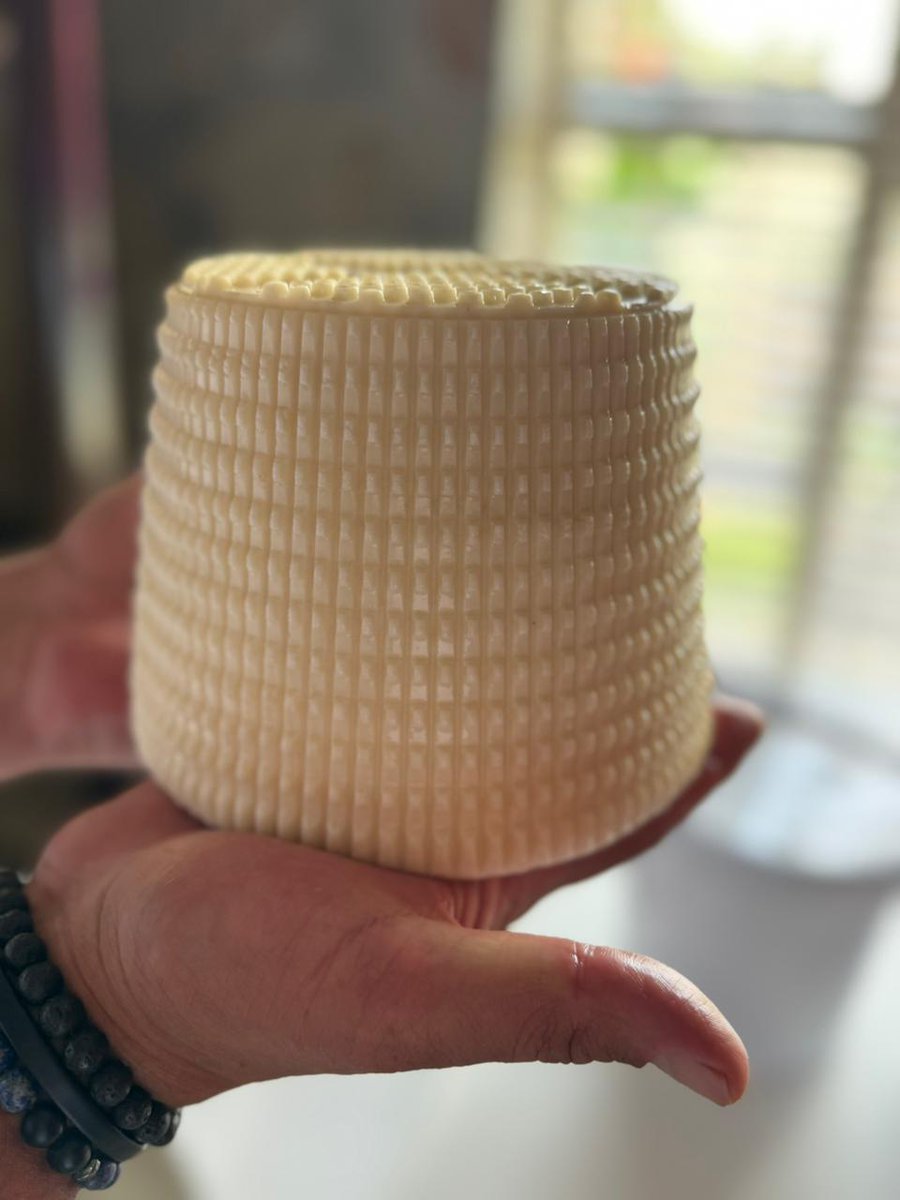 Nick Theodoropoulos tweet media