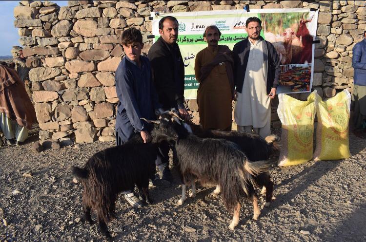 National Poverty Graduation Programme (@npgppk) on Twitter photo Balochistan Rural Support Programme has recently distributed 85 tangible assets in Union Council Sambaza and Thang Sar, District Zhob under <a href="/npgppk/">National Poverty Graduation Programme</a> , in line with its mission to uplift the marginalized and impoverished communities.
<a href="/IFAD/">International Fund for Agricultural Development</a> ,<a href="/MOPASSPK/">Ministry of Poverty Alleviation and Social Safety</a> Balochistan Rural Support Programme has recently distributed 85 tangible assets in Union Council Sambaza and Thang Sar, District Zhob under <a href="/npgppk/">National Poverty Graduation Programme</a> , in line with its mission to uplift the marginalized and impoverished communities.
<a href="/IFAD/">International Fund for Agricultural Development</a> ,<a href="/MOPASSPK/">Ministry of Poverty Alleviation and Social Safety</a>