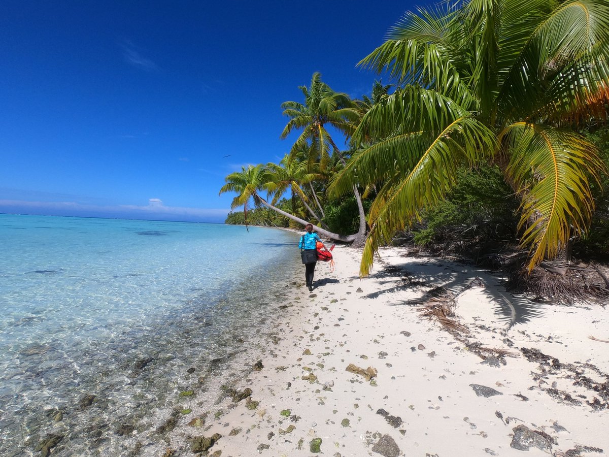 "The importance of considering surrounding seascape context and connectivity is not limited to the protection and conservation of healthy ecosystems, but also to the restoration of degraded ecosystems and fragmented habitats" <a href="/c_stuart9/">Courtney Stuart</a> <a href="/UniofOxford/">University of Oxford</a> #ScientistSpotlight #ECR