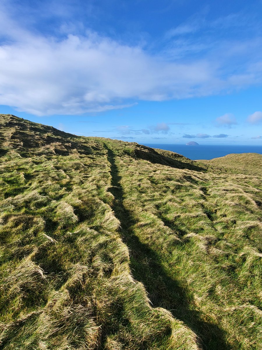 Michael61723036's tweet photo. Shadow trail #Girvan #trailrunning #ultradistance #UGB200 #training https://t.co/QenyiwOys3