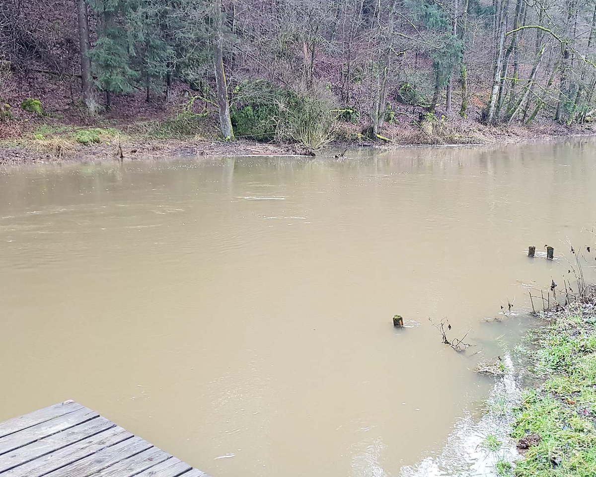 wolfi2de's tweet photo. The Pegnitz river, high and very dirty https://t.co/qFZKkuvDqs