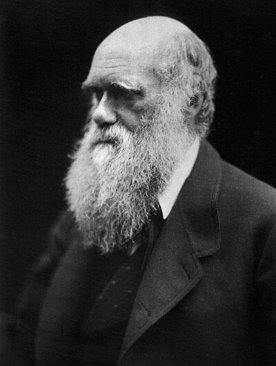 diletante36's tweet photo. Uma parte menos conhecida do trabalho de Darwin envolve o estudo dos órgãos vestigiais. 

Órgãos que já tiveram função em algum momento da evolução, mas que perderam seu propósito, apesar de permanecerem no organismo.

Há cerca de 100 deles no corpo humano, conheça alguns! https://t.co/zhqbYwWERZ