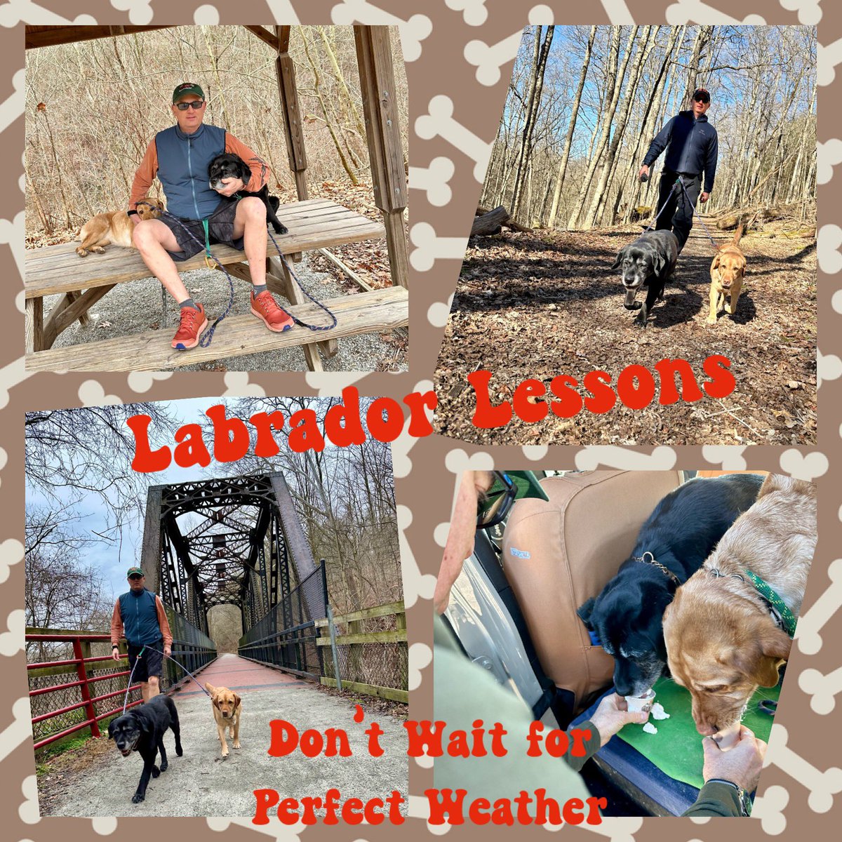 #LabradorLesson from #FitLabPGH (link below): Don’t wait for “perfect” weather to get moving. Adapt your plan as needed. Dress for conditions. #GetOutside #GetMoving 

#2024Goals #MoveMore #WiseWords 

tinyurl.com/FLP-LabWeather