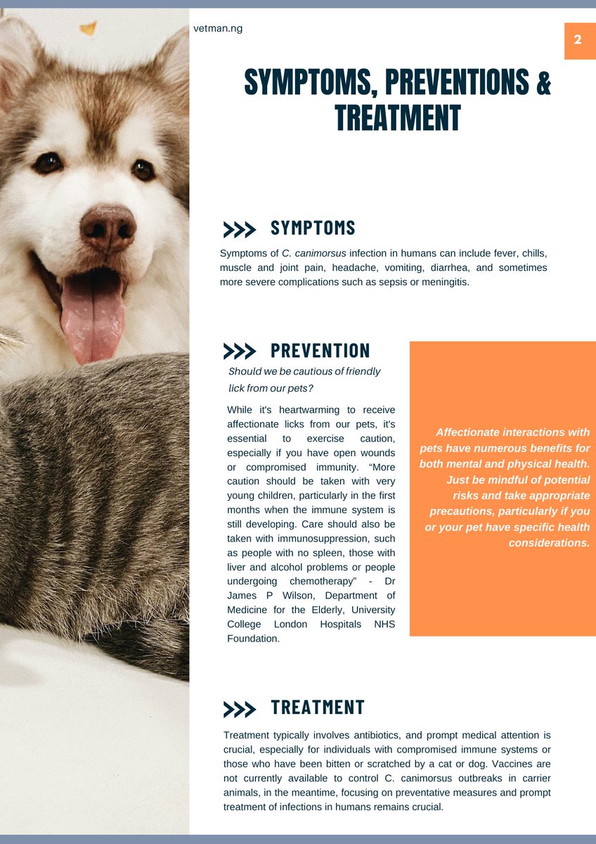 vetman_ng's tweet photo. Attention All Pet Owners! 
Ever heard of #Capnocytophaga canimorsus. #Discover whether we should be cautious about our pets giving us friendly licks?

#Petlovers Internship Jose Peseiro Awareness Alert Nigerians https://t.co/IllhtvqO6c