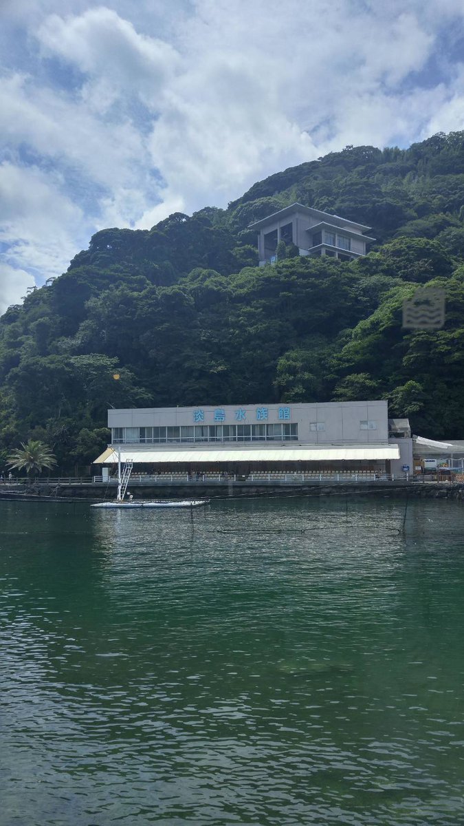 emiemipuu's tweet photo. 2019年8月に行った時、とても楽しかったことを覚えてます😌バックヤードツアーにも参加し飼育員さんのお話を聞いたり、カメと一緒に写真を撮ったり良いところでした。あと2週間ですか。。。残念だなぁ😥その時の写真、もっともっと撮っておけば良かった。 https://t.co/NHv7C2sGzj