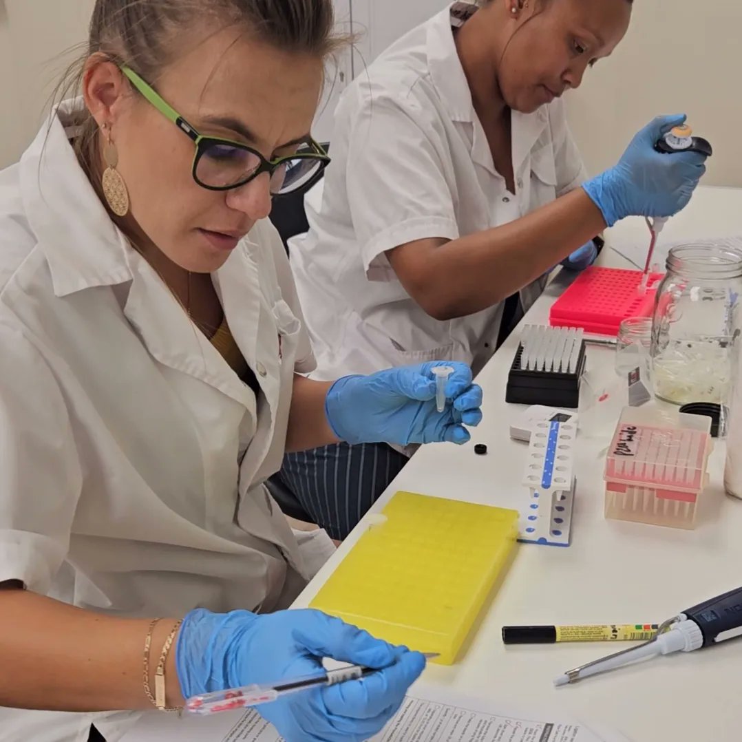 diplomics_sa's tweet photo. Exciting times @CenGenZA last week, as they completed their 1st P2 Solo run for the #1KSA and #Veldkos DNA projects

Congratulations to the whole team!

Visit their website to find out more: https://t.co/y8QVBab4Ej

@nanopore @dsigovza 
#sequencing #genomics #omics #DIPLOMICS https://t.co/1YEF4mm302