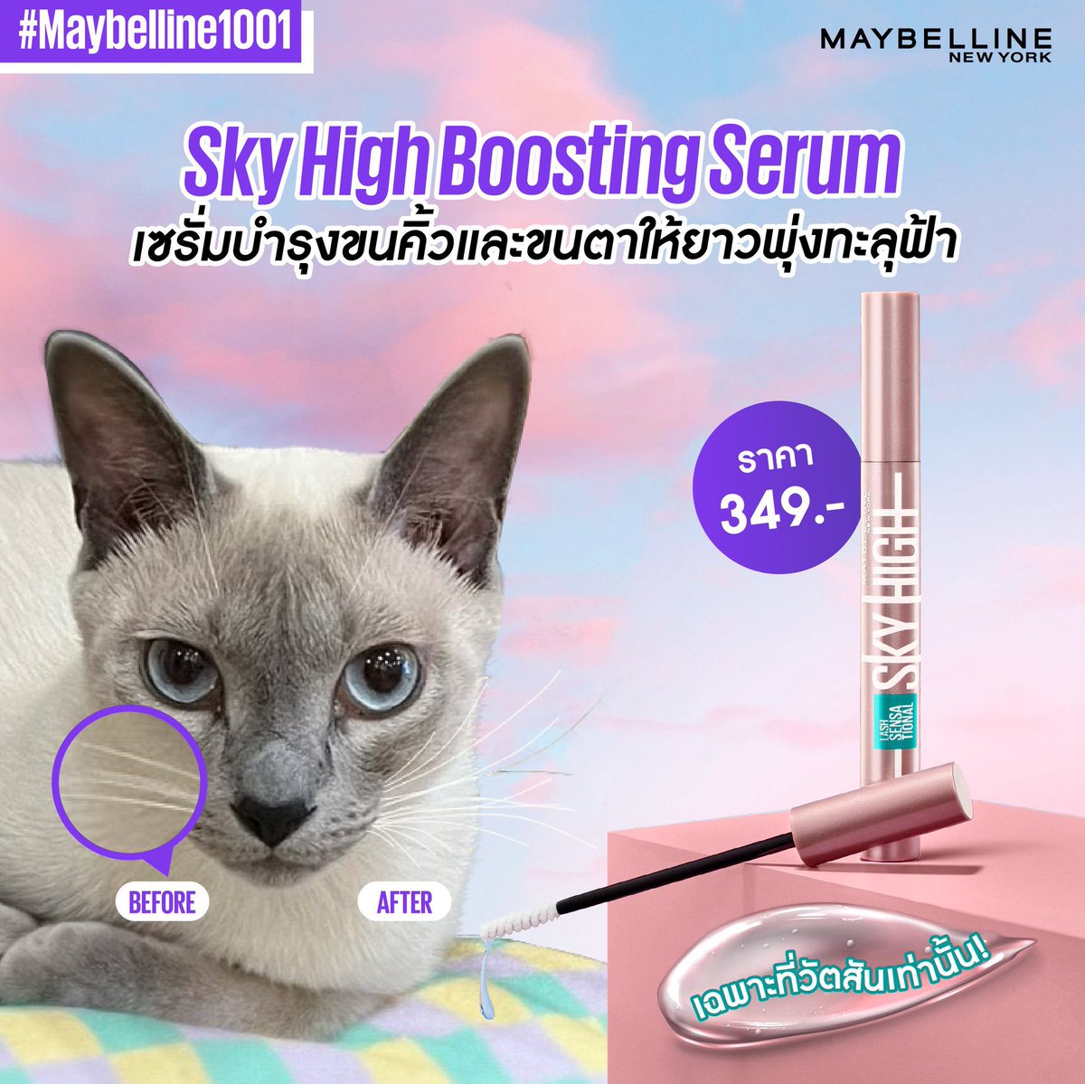 마이 ♡ 텐텐 🐈⬛ ྀི tweet media