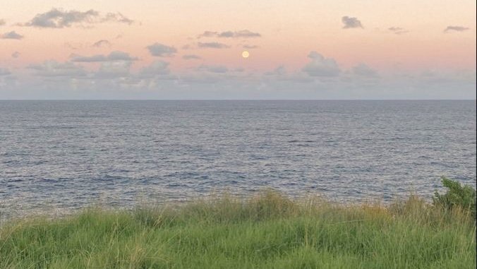 moodyonmoon's tweet photo. 🫧 https://t.co/uLvMESmLjO
