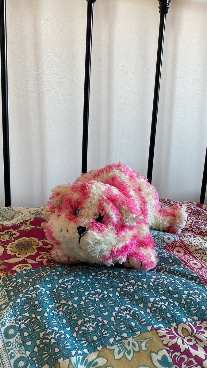 FeralMother44's tweet photo. @RetirementTales @MichaelRosenYes Dear Bagpuss #At50😻
Who still yawns!! https://t.co/Vax5yxB8vu