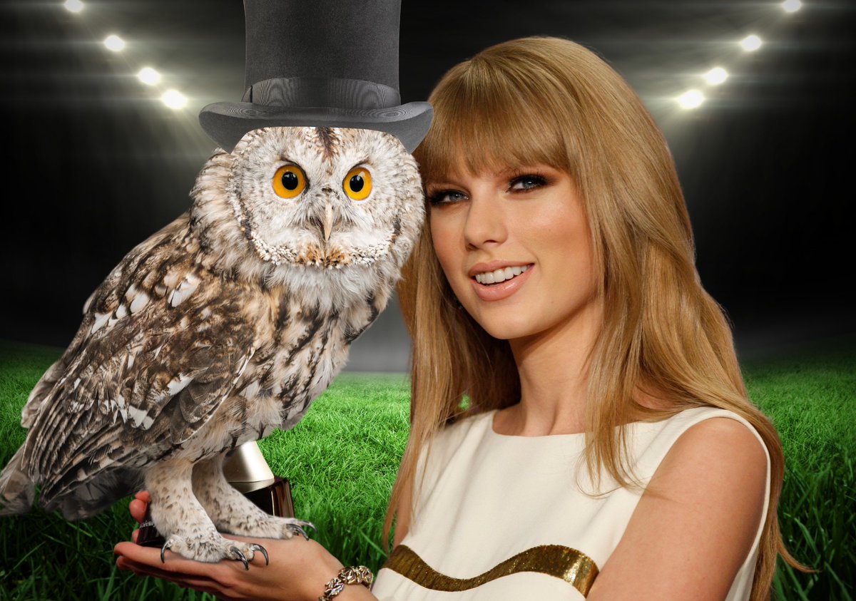 DavAndCats's tweet photo. I'm so proud of her and her Superb Owl win. https://t.co/RqUtS2RTCD