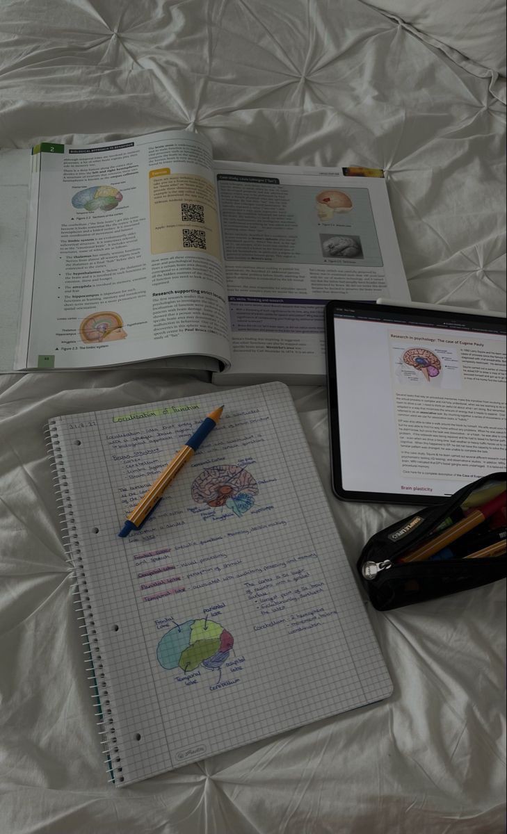 nny_6a's tweet image. Lojas da shoppe que vendem diversos materiais de estudos — a trend #studytwt #studytwtbr