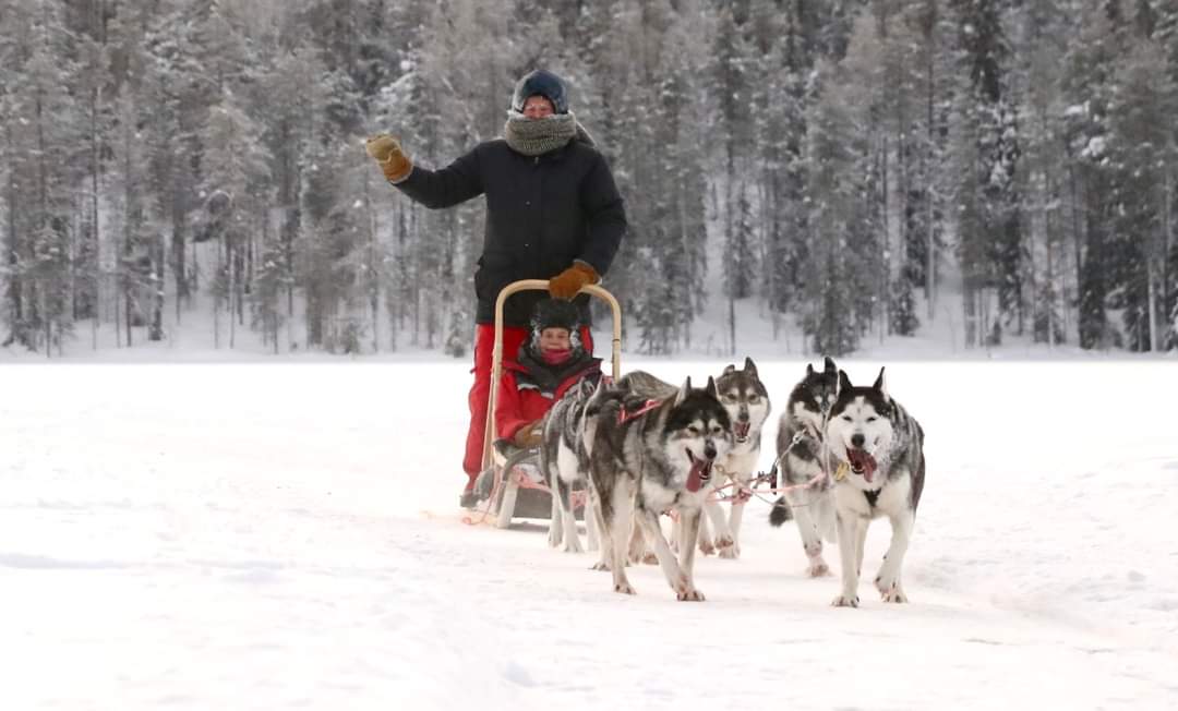 LaplandChamber's tweet photo. When visiting us, things can get vivid!! โจ Guest Artist & Violist #StevenDann sledging at Korvalan kievari with our violists Melanie and Max. ๐
#onlyinlapland #onlyinLCO #usvatanssinkennel
#huskyride
@Roikaupunki @VisitRovaniemi @OurLapland https://t.co/GC8mps06PC