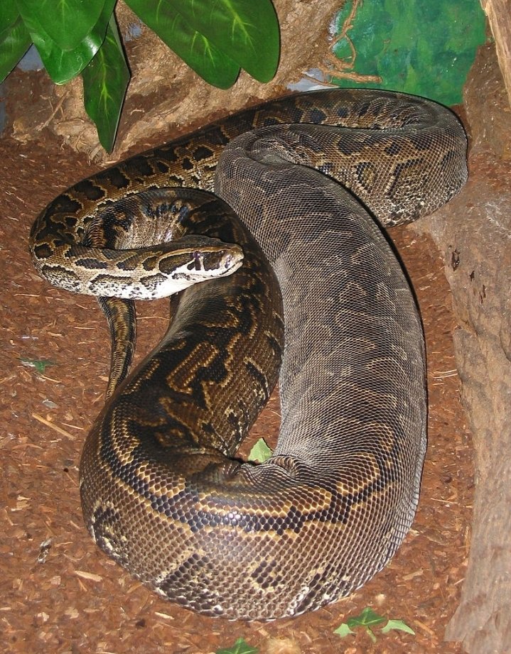 Etana Tours and Travel Ltd tweet media