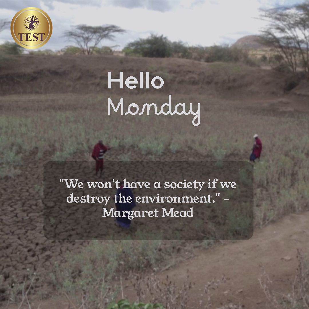 testecosystems's tweet photo. Hello Monday! Let's kickstart the week with a powerful reminder from Margaret Mead: 'We won't have a society if we destroy the environment. 'Let's commit to being stewards of our planet, nurturing and protecting it for generations to come. #EnvironmentalEducation https://t.co/ebZUNosr3B