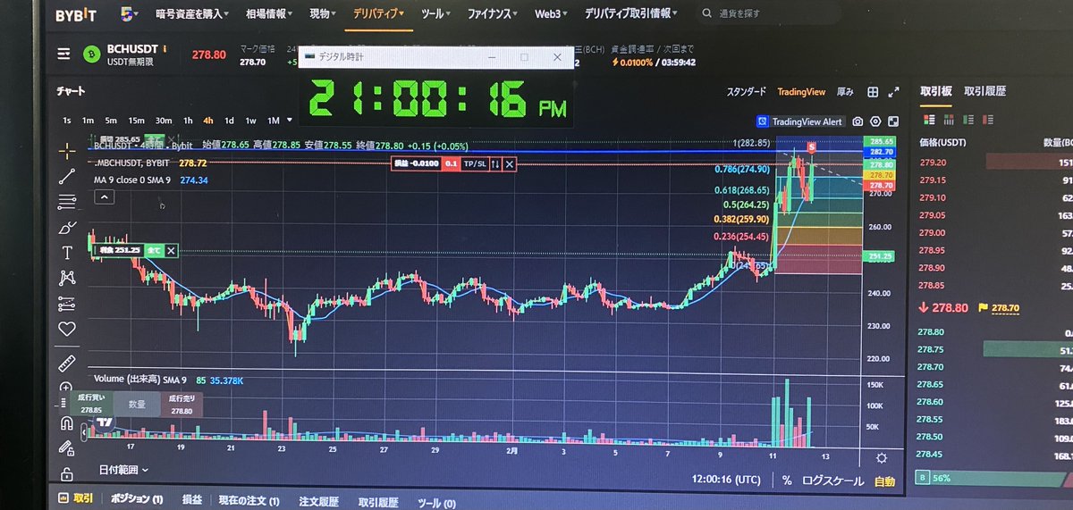 BCH USDT ショートポジション