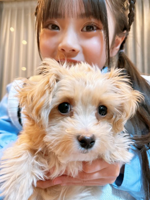 Twitterのコスプレ画像34