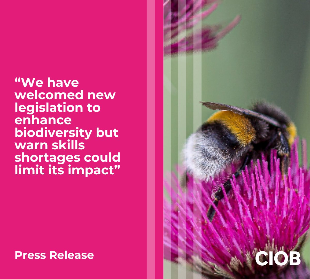 theCIOB's tweet photo. From today new legislation will come into force which means major development (unless otherwise exempt) will have to deliver net gains for biodiversity leading to positive outcomes for nature. Read what we had to say at https://t.co/g9fOP0GRGS
#ciob #biodiversity #netgain https://t.co/7cdHWBmPGk