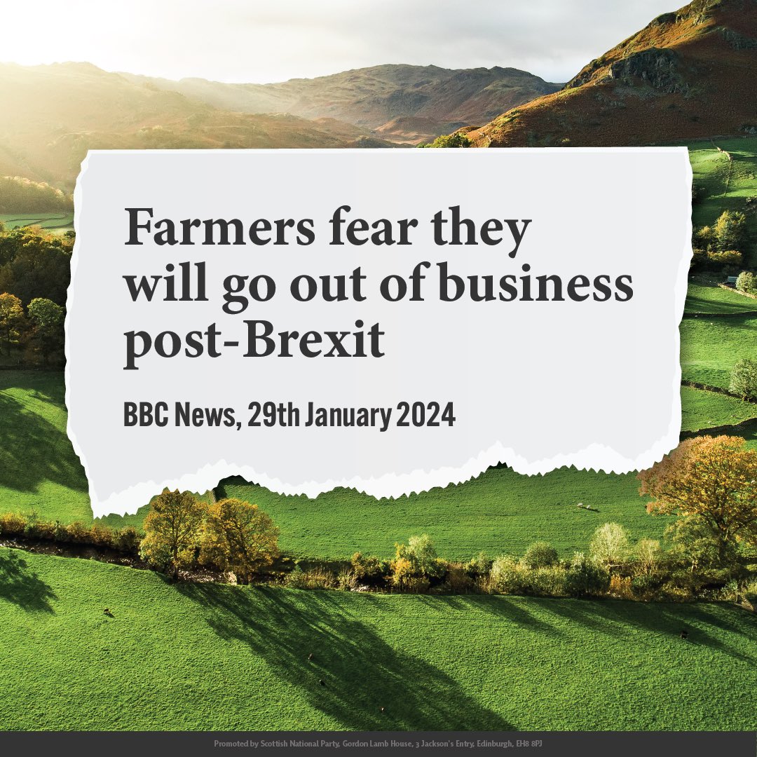 theSNP's tweet photo. 🚜 Farmers in England and Wales are not receiving the promised support in EU replacement schemes from the UK government.

❌ Westminster parties are neglecting the repercussions of Brexit and jeopardising farmers' livelihoods.

🏴󠁧󠁢󠁳󠁣󠁴󠁿 Through the damages of Brexit, your SNP Scottish Government has provided the most generous support package for farmers and crofters in the UK, providing £46 million in ring-fenced funding – with £15 million already returned.