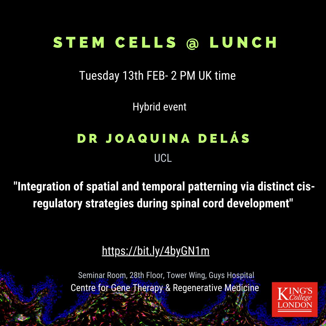 📢Next Stem cells @ Lunch happening tomorrow, 13th Feb 2PM UK time, We are excited to have Dr. Joaquina Delás ( @joadelas ) for this fantastic event. Join us in person or online !!!!! @LMCB_UCL @kingsmedicine