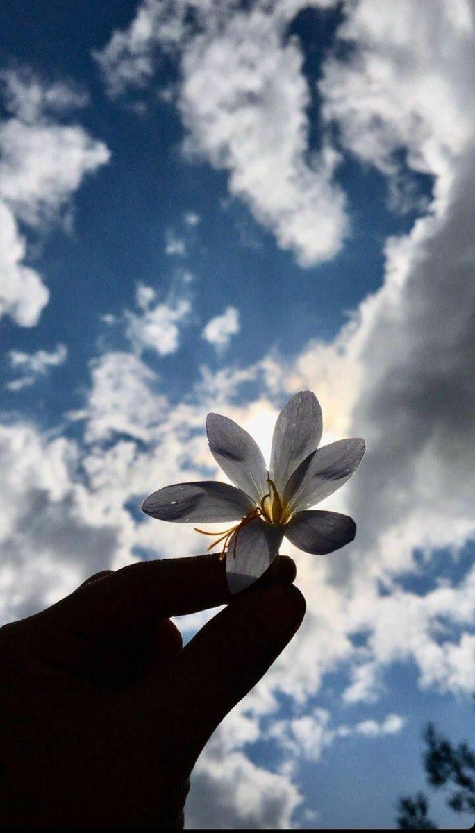Amanij82's tweet photo. حياتك بعد التشافي والتغيير  حياه حقيقة لا تشبه ماقبلها 🌸🌷
#كوتشينغ https://t.co/OnqoyVvRgR
