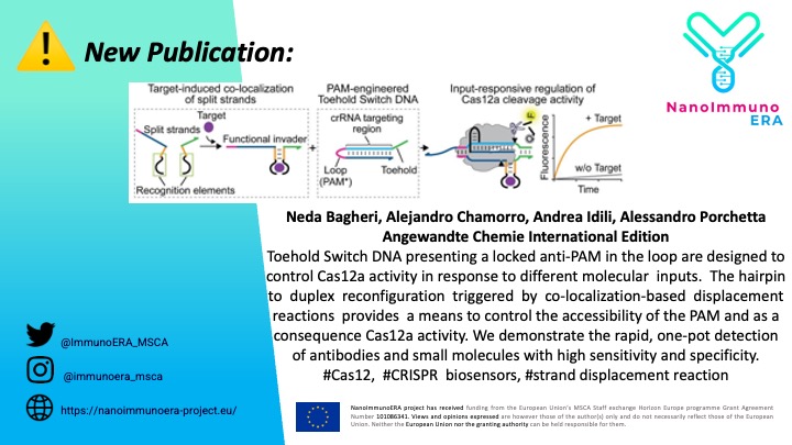 ImmunoERA_MSCA's tweet photo. ⚠️📝Happy to share the recent work from @alessan_porch @NedaBagheri @AndreaIdili  in @angew_chem ! #Cas12  #CRISPR  #biosensors #stranddisplacement 
👉https://t.co/MTOsUbzXF5 https://t.co/PwG0LfVBe2