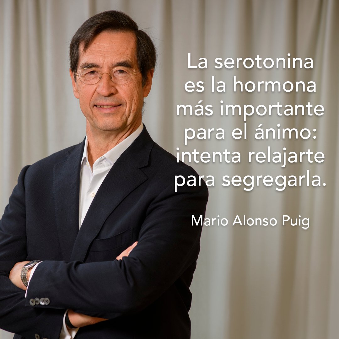 Nuestra resistencia frente a las dificultades se encuentra en estrecha relación con un correcto nivel de serotonina. Esta sustancia química tiene un impacto positivo en el funcionamiento del cerebro y desempeña un papel importante en la regulación del estado de ánimo.