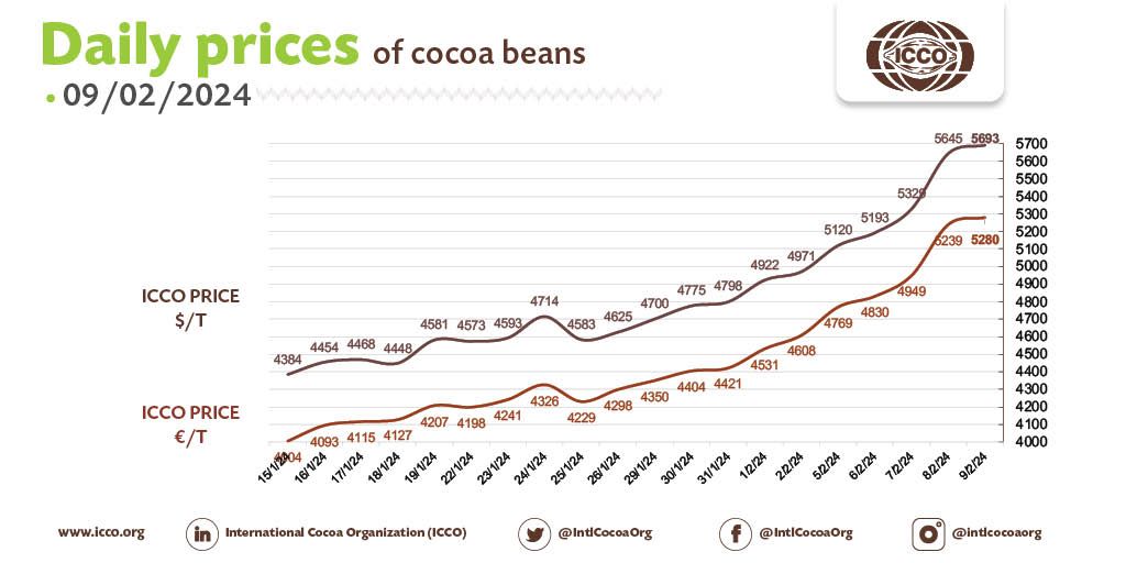 🔴 09/02/2024 #Cocoa Daily Prices - Prix du jour - Precios diarios - Ежедневные цены
 
💵 ICCO daily price - 5692.55 $/T
💶 ICCO daily price - 5279.56 €/T
 
More #cocoa statistical info in our webpage 🔗 bit.ly/36Ad74r

#ICCOCocoaHub #ICCOCocoaData #ICCOCocoaKnowledge