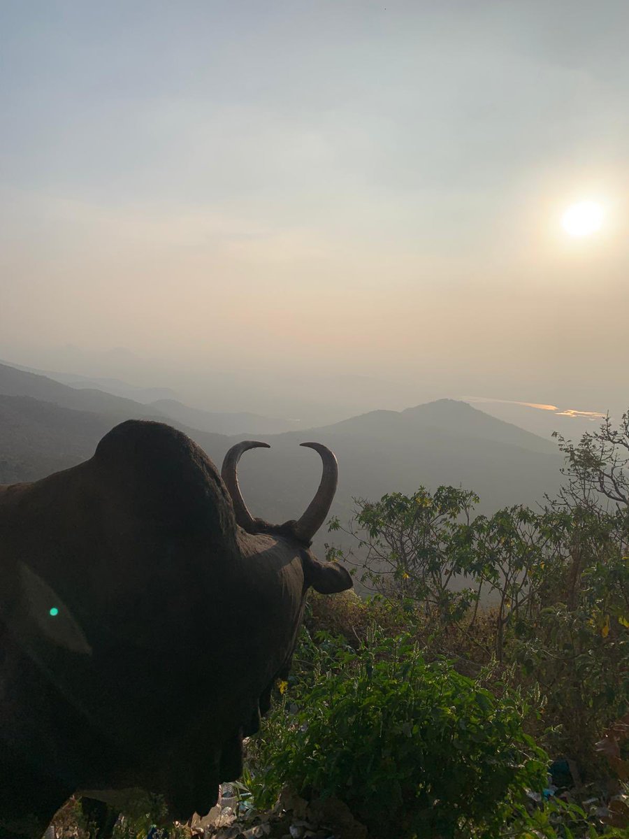 From one escarpment to the next! This is where the Western Ghats meets the Eastern Ghats: