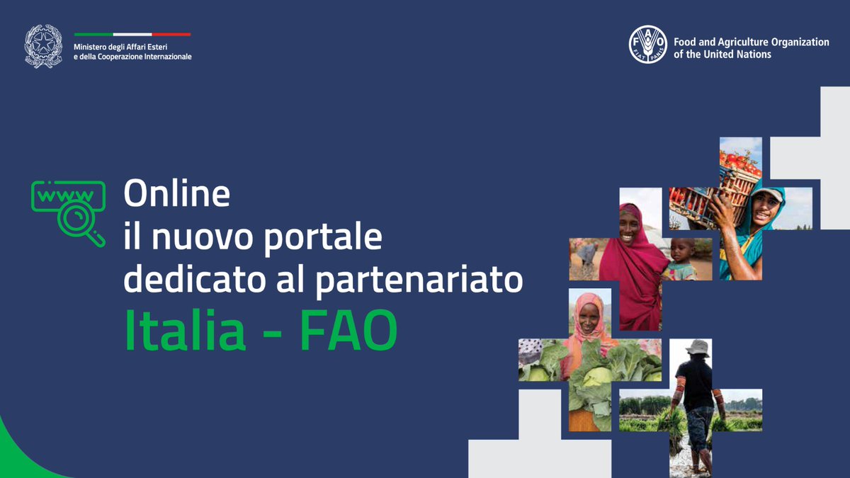📢Online il nuovo sito dedicato allo speciale rapporto che lega la @FAO all'🇮🇹, che dal 1⃣9⃣5⃣1⃣ospita l'Organizzazione 🇺🇳per l'alimentazione e l'agricoltura. Scopri di più sull'impegno Italia/FAO per la sicurezza alimentare e lo sviluppo sostenibile 👇fao.org/fao-italy/it