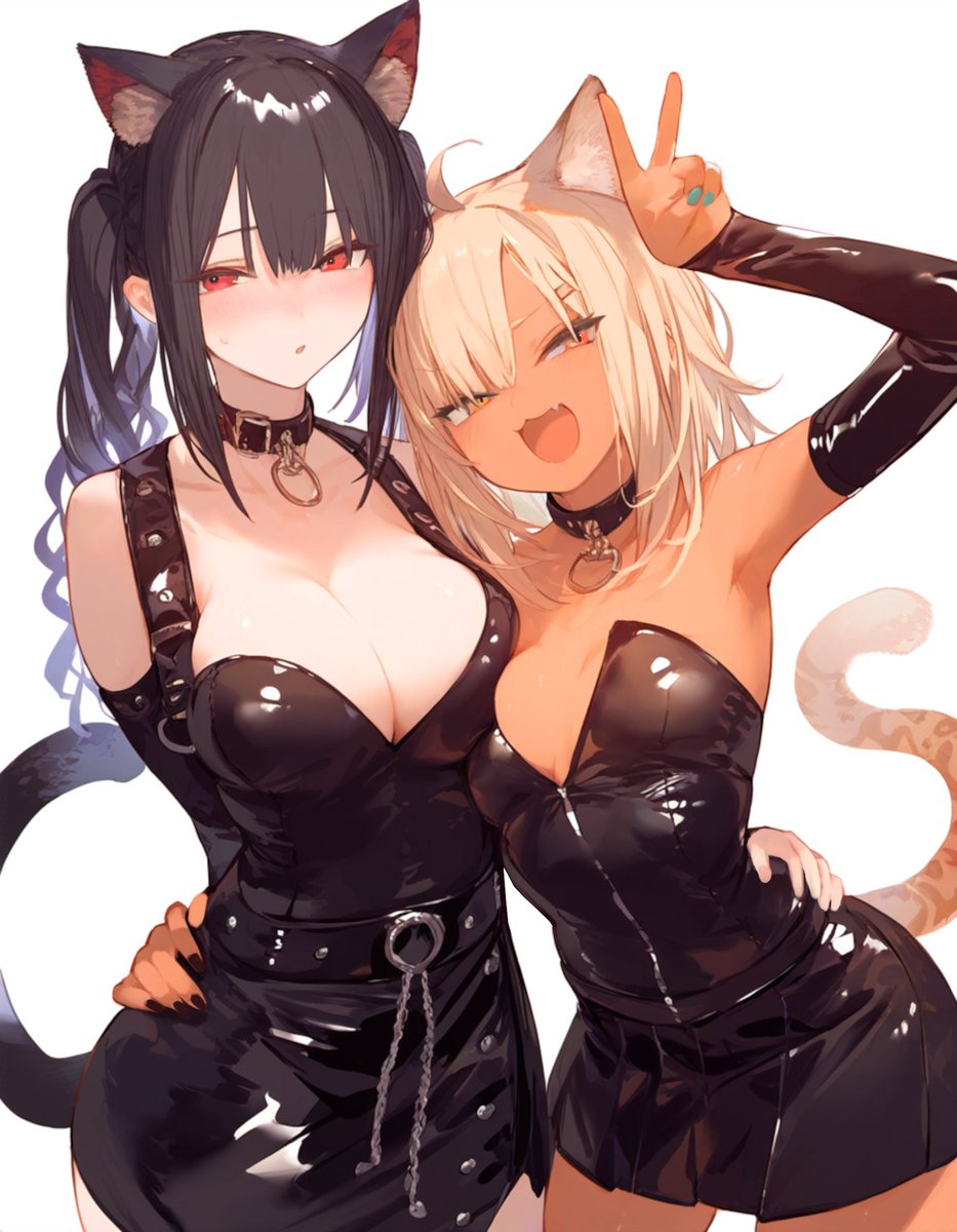 だまされた猫とわるい猫