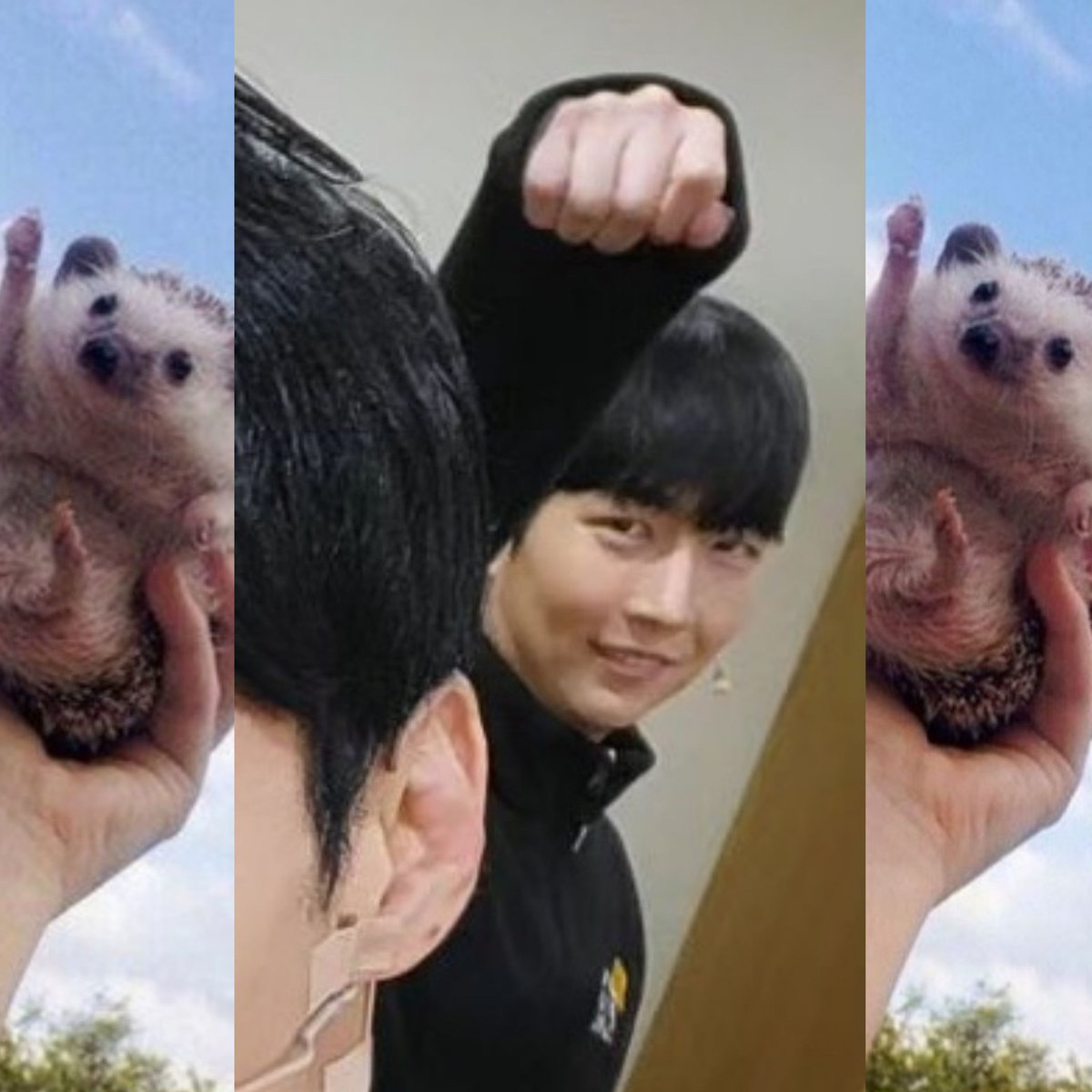 DDATTZHUI's tweet photo. 따봉도치야 고마워~ https://t.co/7Zj4CdSscj
