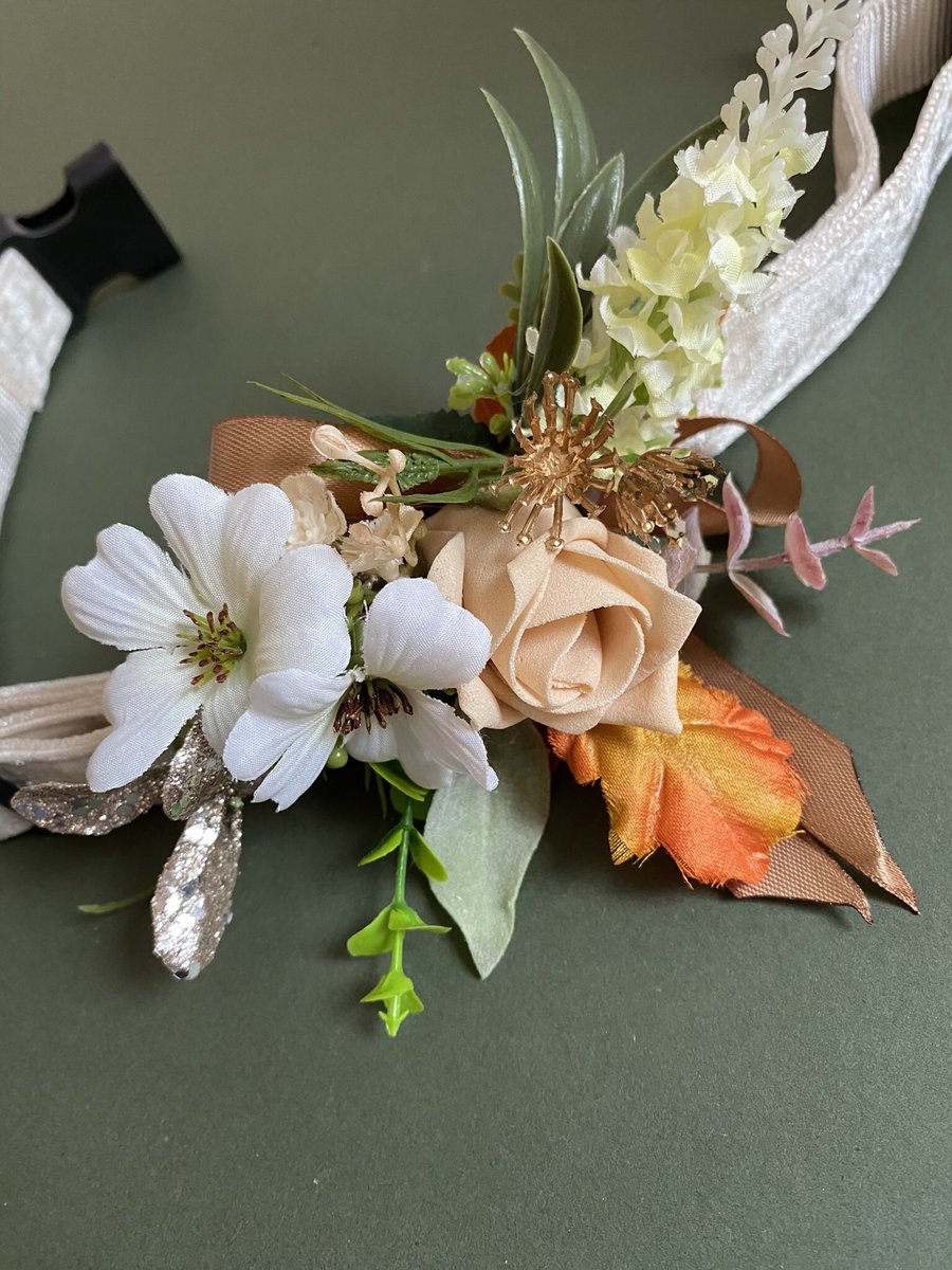 Spring Sunshine 🌞