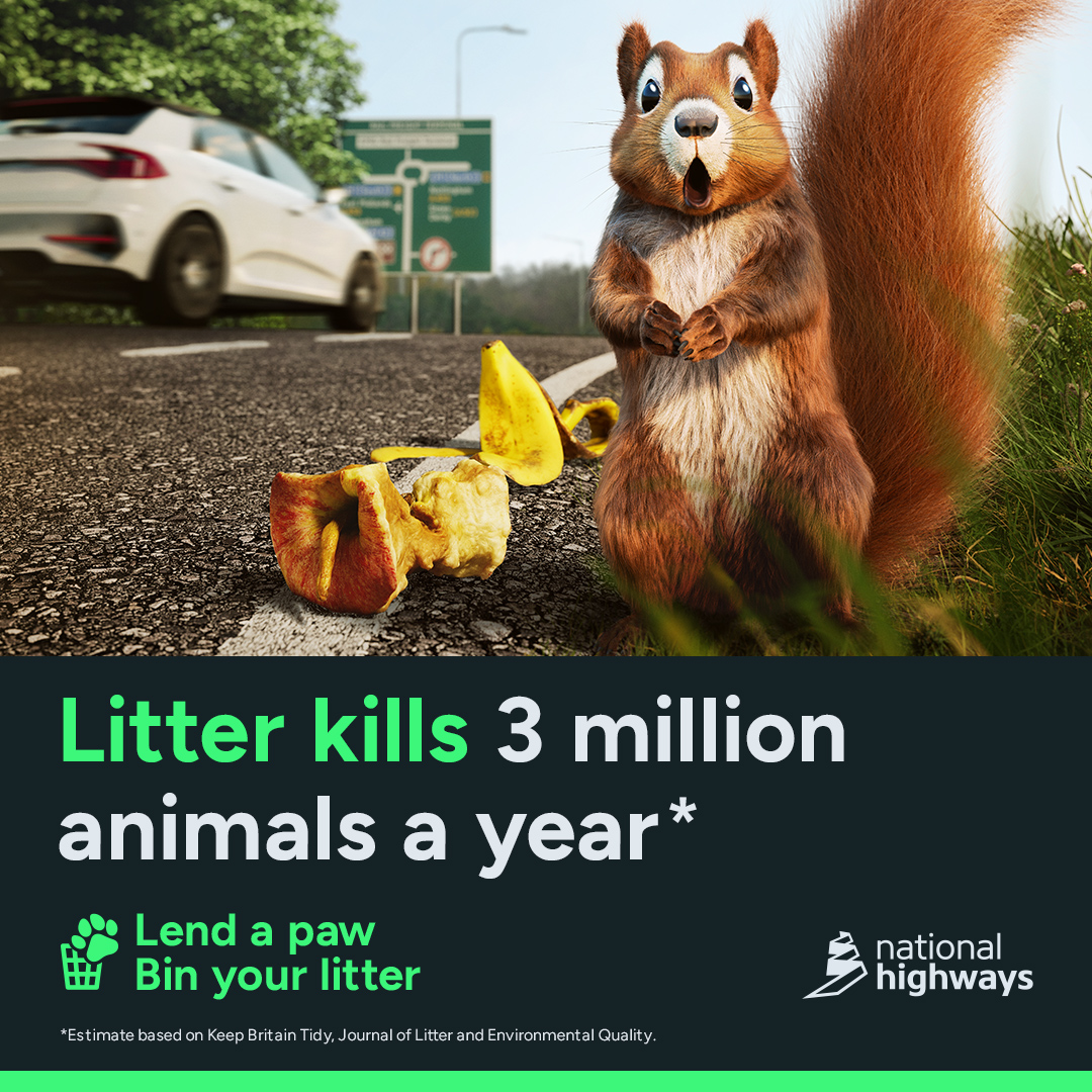 Britain is a nation of animal lovers, yet every year millions of animals are killed
or injured on our roads 😔 

Roadside rubbish and food lures wildlife to their death, so #LendAPaw to <a href="/NationalHways/">National Highways</a> by taking your litter home when you're on the road 👉 bit.ly/3STJYcy